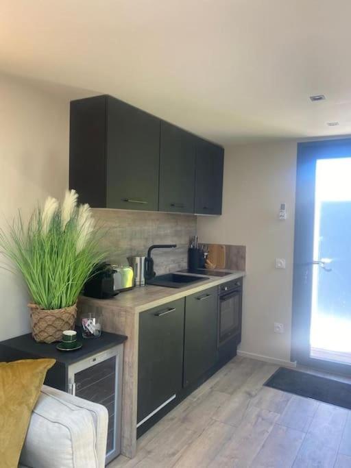 Apartamento A Lombre Du Magnolia LʼIsle-sur-la-Sorgue Exterior foto